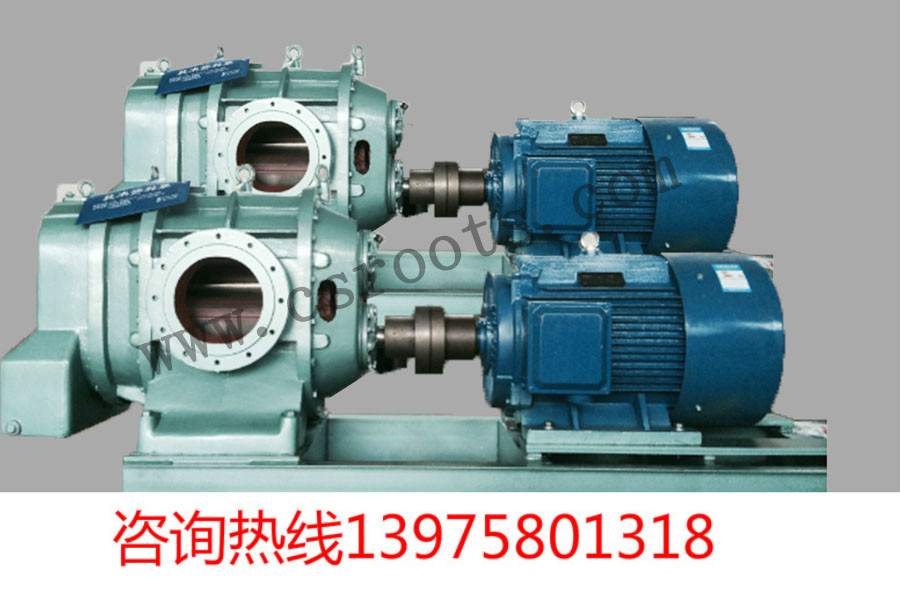 R221罗茨风机丨R222罗茨风机